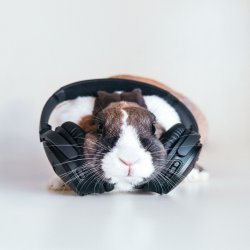 Cover NNM (Mix)