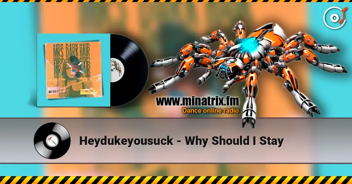 Heydukeyousuck - Why Should I Stay listen online in high quality | Minatrix.FM