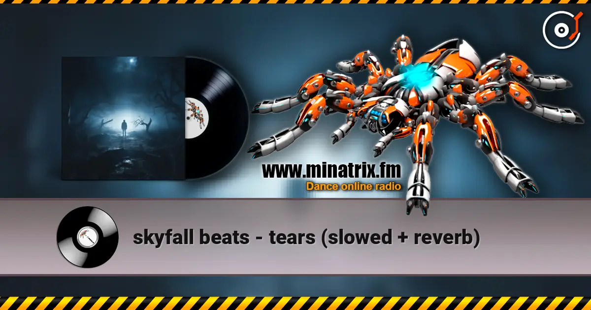 skyfall beats - tears (slowed + reverb) listen online in high quality | Minatrix.FM