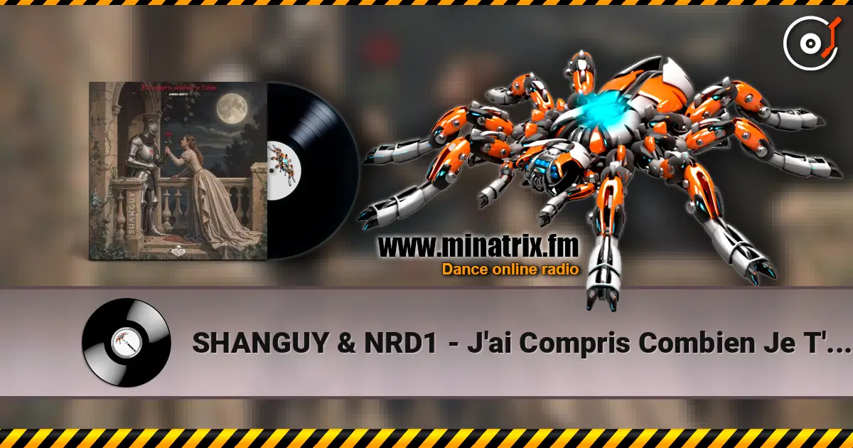 SHANGUY & NRD1 - J'ai Compris Combien Je T'aime listen online in high quality | Minatrix.FM