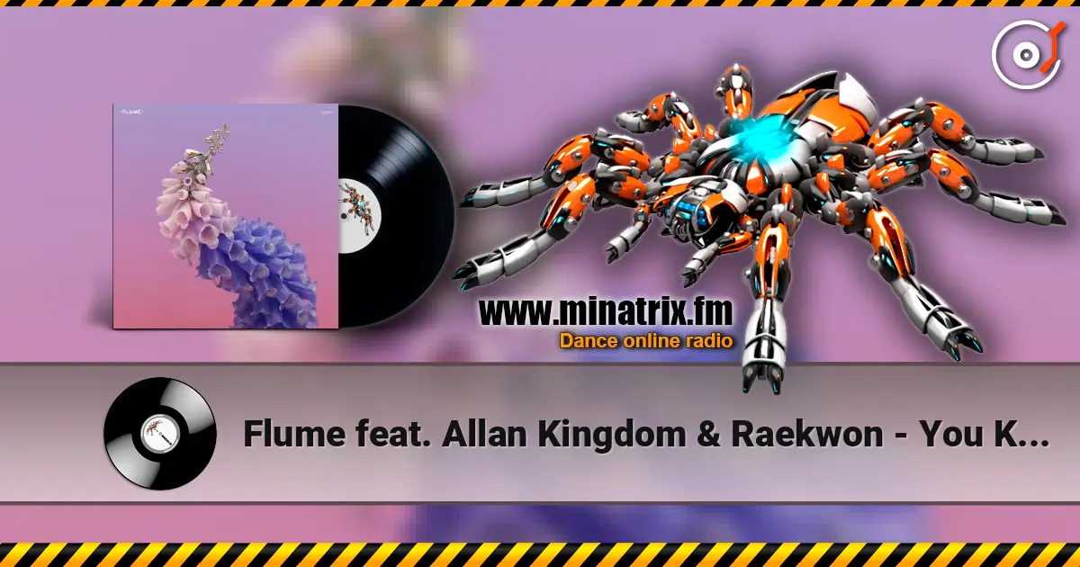 Flume feat. Allan Kingdom & Raekwon - You Know listen online in high quality | Minatrix.FM