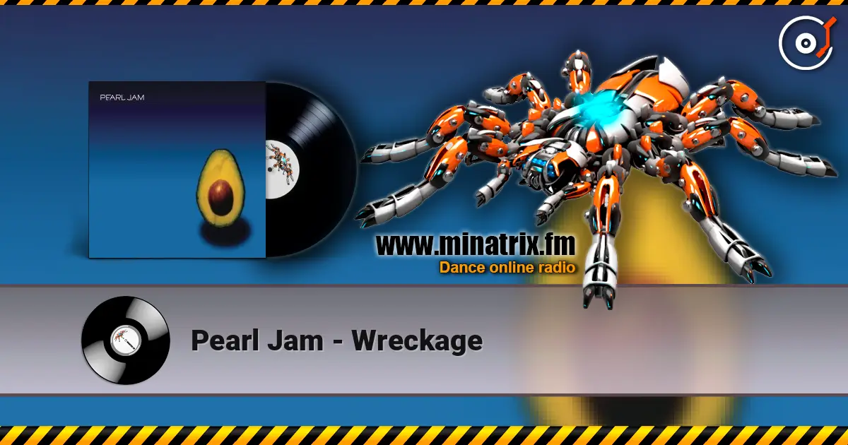 Pearl Jam - Wreckage listen online in high quality | Minatrix.FM
