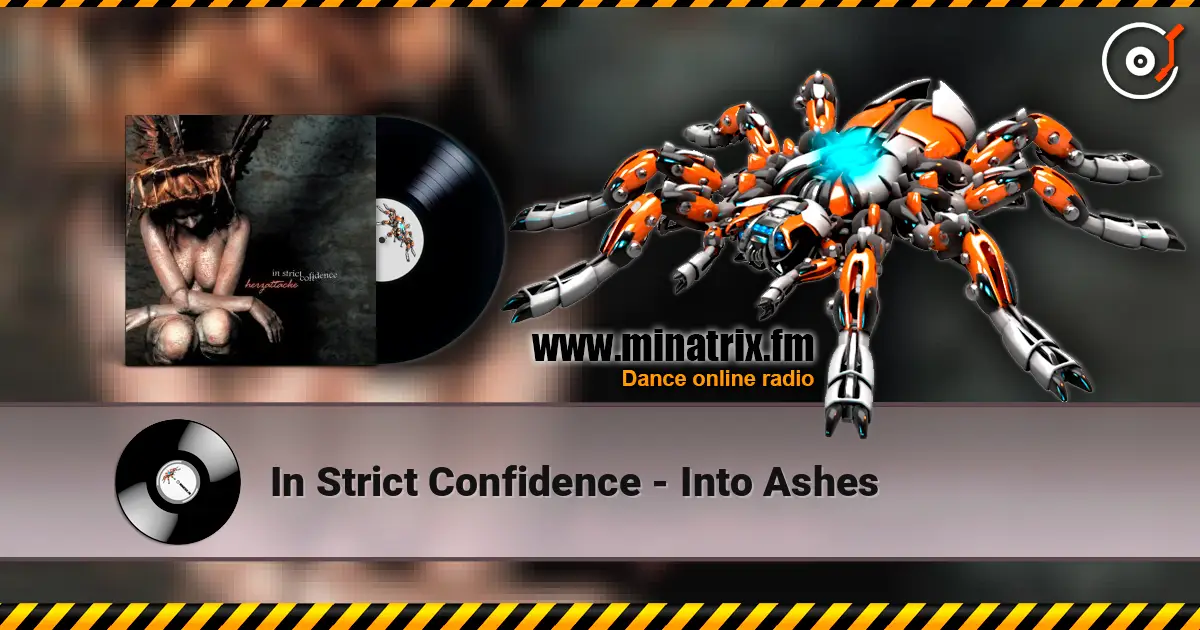 In Strict Confidence - Into Ashes listen online in high quality | Minatrix.FM