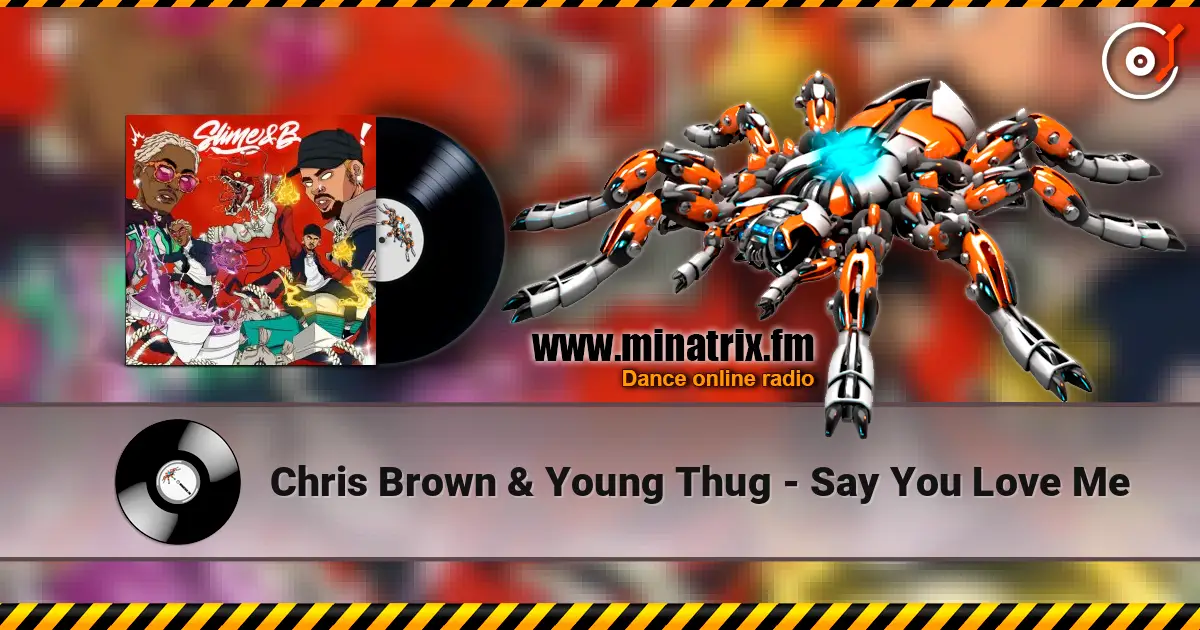 Chris Brown & Young Thug - Say You Love Me listen online in high quality | Minatrix.FM