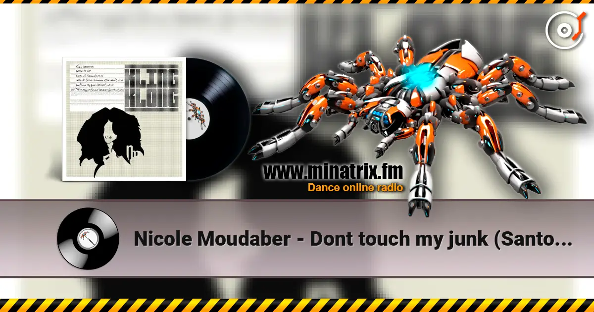 Nicole Moudaber - Dont touch my junk (Santos Permanent Jack remix) listen online in high quality | Minatrix.FM
