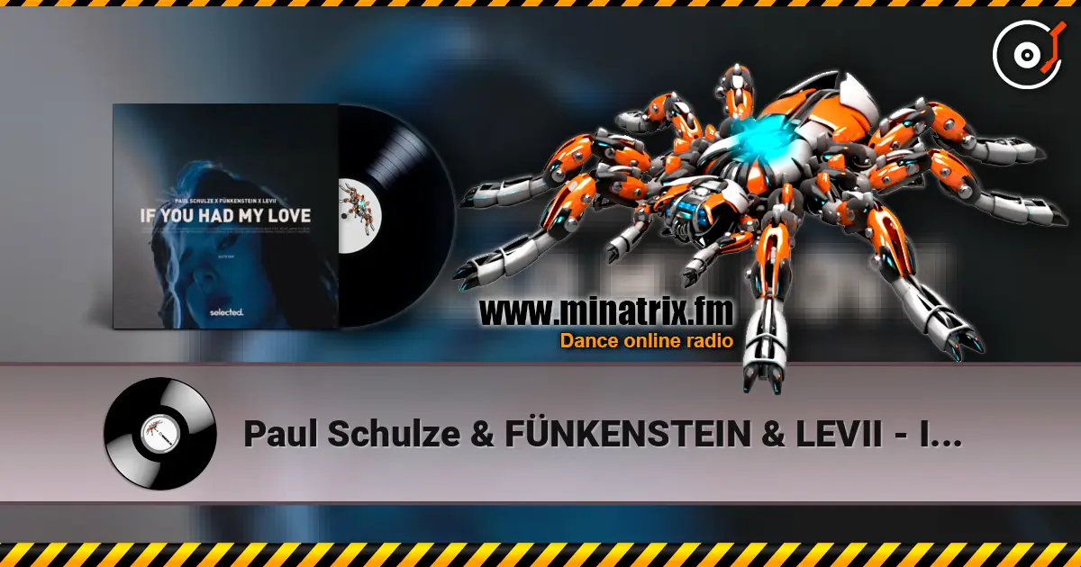 Paul Schulze & FÜNKENSTEIN & LEVII - If You Had My Love listen online in high quality | Minatrix.FM