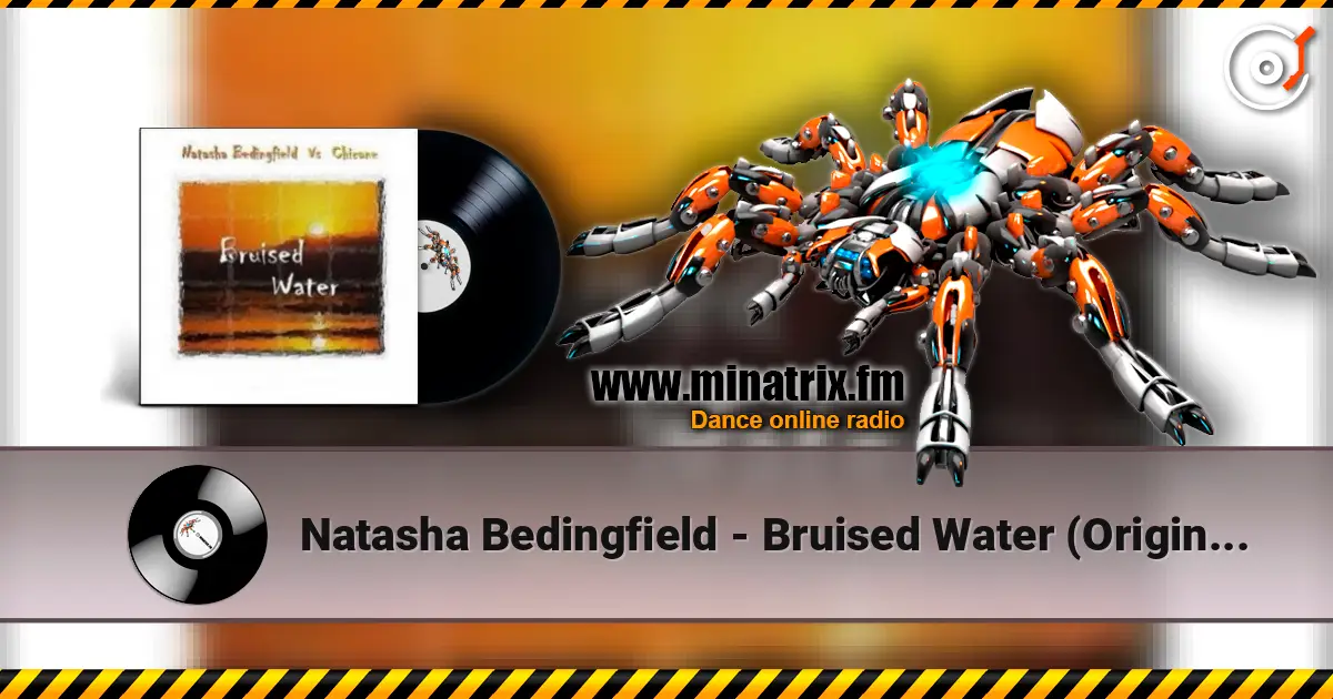 Natasha Bedingfield - Bruised Water (Original Club Mix) listen online in high quality | Minatrix.FM