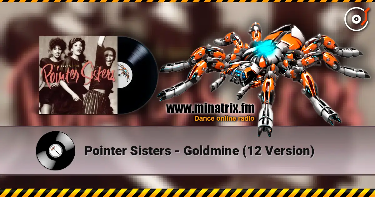 Pointer Sisters - Goldmine  (12 Version) listen online in high quality | Minatrix.FM