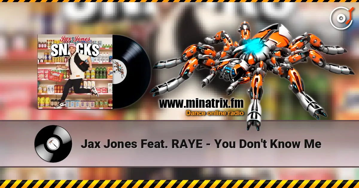 Jax Jones Feat. RAYE - You Don't Know Me listen online in high quality | Minatrix.FM