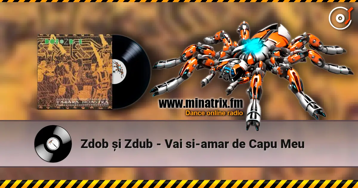 Zdob și Zdub - Vai si-amar de Capu Meu listen online in high quality | Minatrix.FM