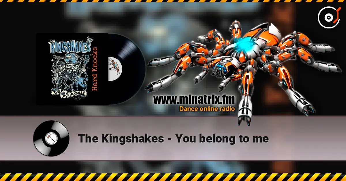 The Kingshakes - You belong to me listen online in high quality | Minatrix.FM