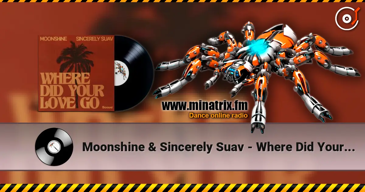 Moonshine & Sincerely Suav - Where Did Your Love Go listen online in high quality | Minatrix.FM
