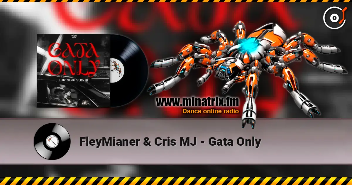 FleyMianer & Cris MJ - Gata Only listen online in high quality | Minatrix.FM