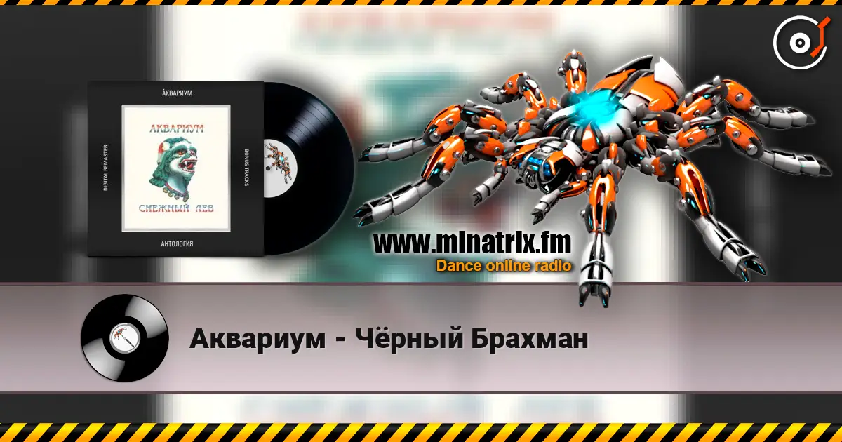 Аквариум - Чёрный Брахман listen online in high quality | Minatrix.FM