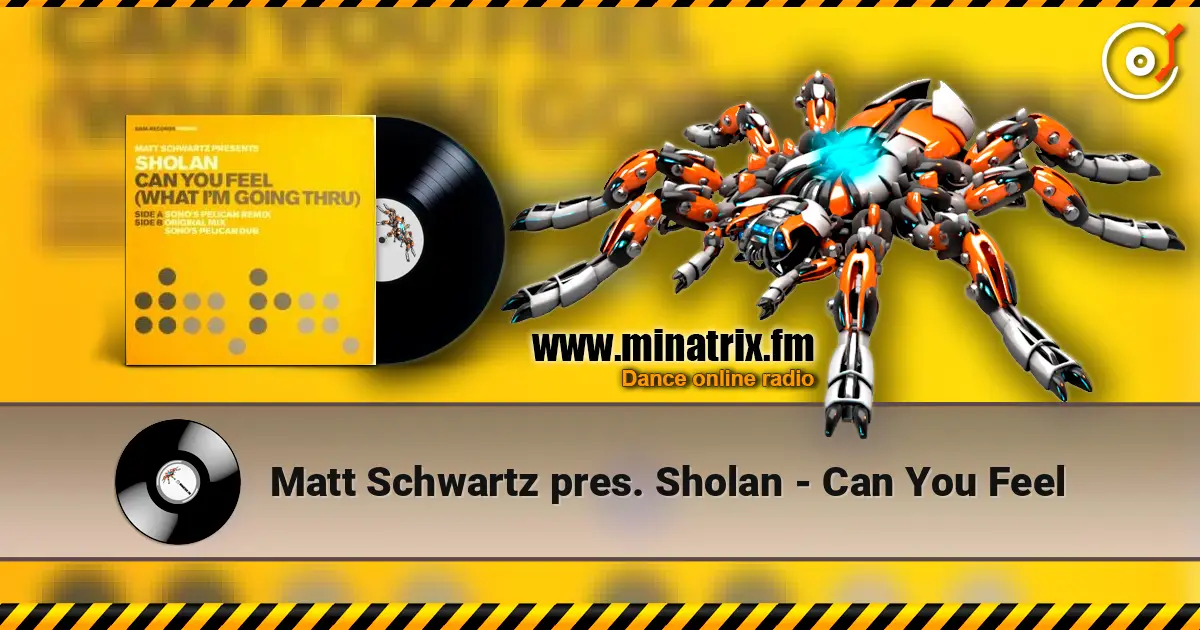 Matt Schwartz pres. Sholan - Can You Feel listen online in high quality | Minatrix.FM