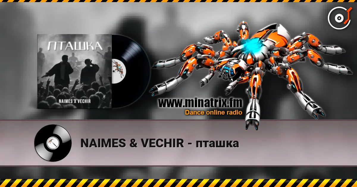 NAIMES & VECHIR - пташка listen online in high quality | Minatrix.FM