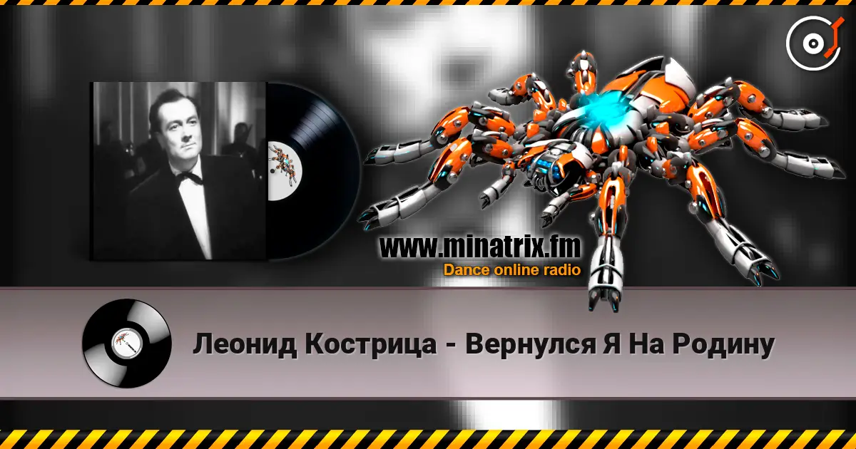 Леонид Кострица - Вернулся Я На Родину listen online in high quality | Minatrix.FM