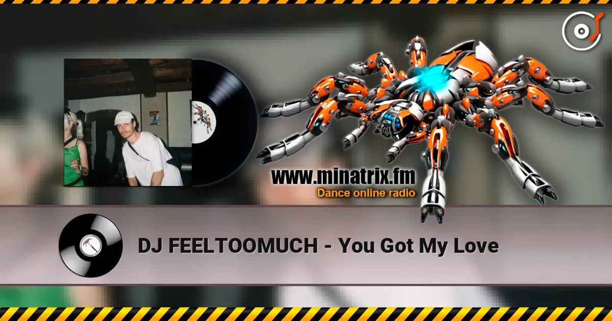 DJ FEELTOOMUCH - You Got My Love listen online in high quality | Minatrix.FM