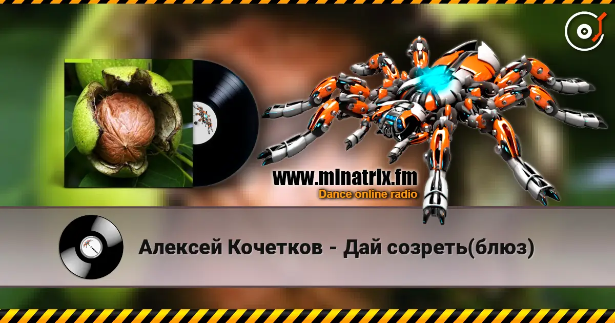 Алексей Кочетков - Дай созреть(блюз) listen online in high quality | Minatrix.FM
