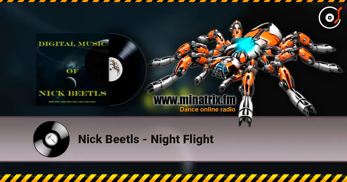 Nick Beetls - Night Flight listen online in high quality | Minatrix.FM